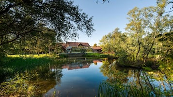Uma casa com um lago à frente, rodeada por árvores.
