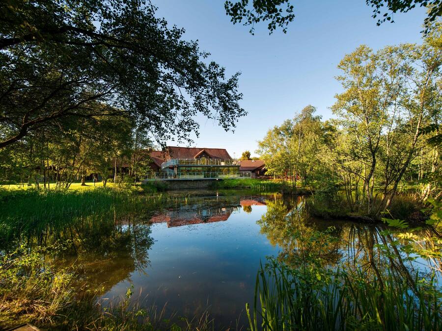 A house with a pond in front, surrounded by trees.