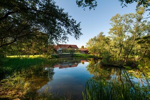 A house with a pond in front, surrounded by trees.