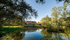 A house with a pond in front, surrounded by trees.