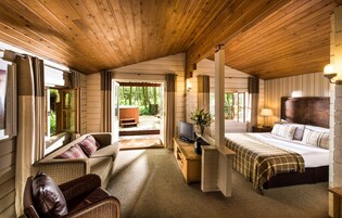 A cozy room with a bed, a sofa, a television, and a desk.