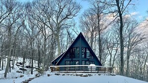 A cabin with a triangular roof, surrounded by snow-covered trees and a stone wall. - Woodland A-Frame (Sharon)
