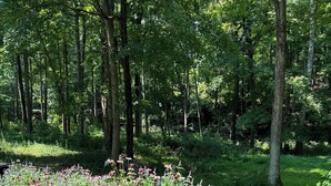A garden with a wooden pathway, surrounded by dense greenery and various flowering plants. - Woodland A-Frame (Sharon)