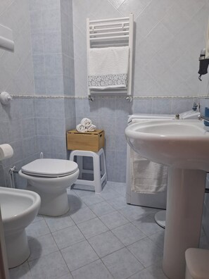 Shower, hair dryer, bidet, towels