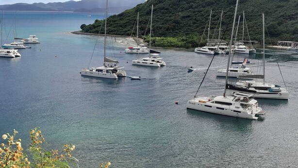 Una marina con varios veleros amarrados.