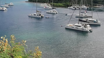 Jachthaven