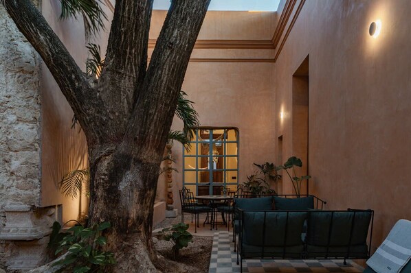 Relax in a serene courtyard surrounded by a large tree and comfortable seating.