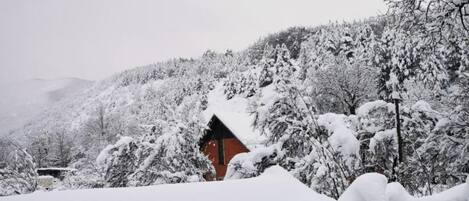 Ferienhaus (Two Bedroom Apartment Tomislav) | Aussenbereich