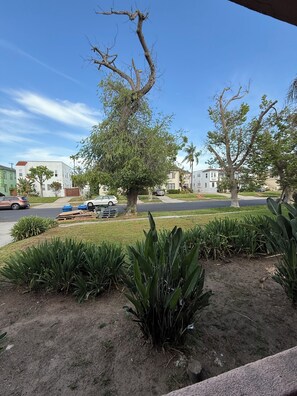 Property grounds - Modern 2Br + Sofa Bed + 2Bth in Miracle Mile (Los Angeles)