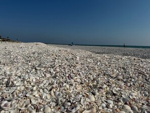 A beach with a wide expanse of white seashells covering the sand.