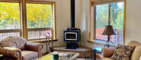 Smart TV, DVD player, books