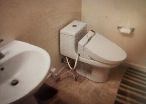 Hair dryer, bidet, towels, soap