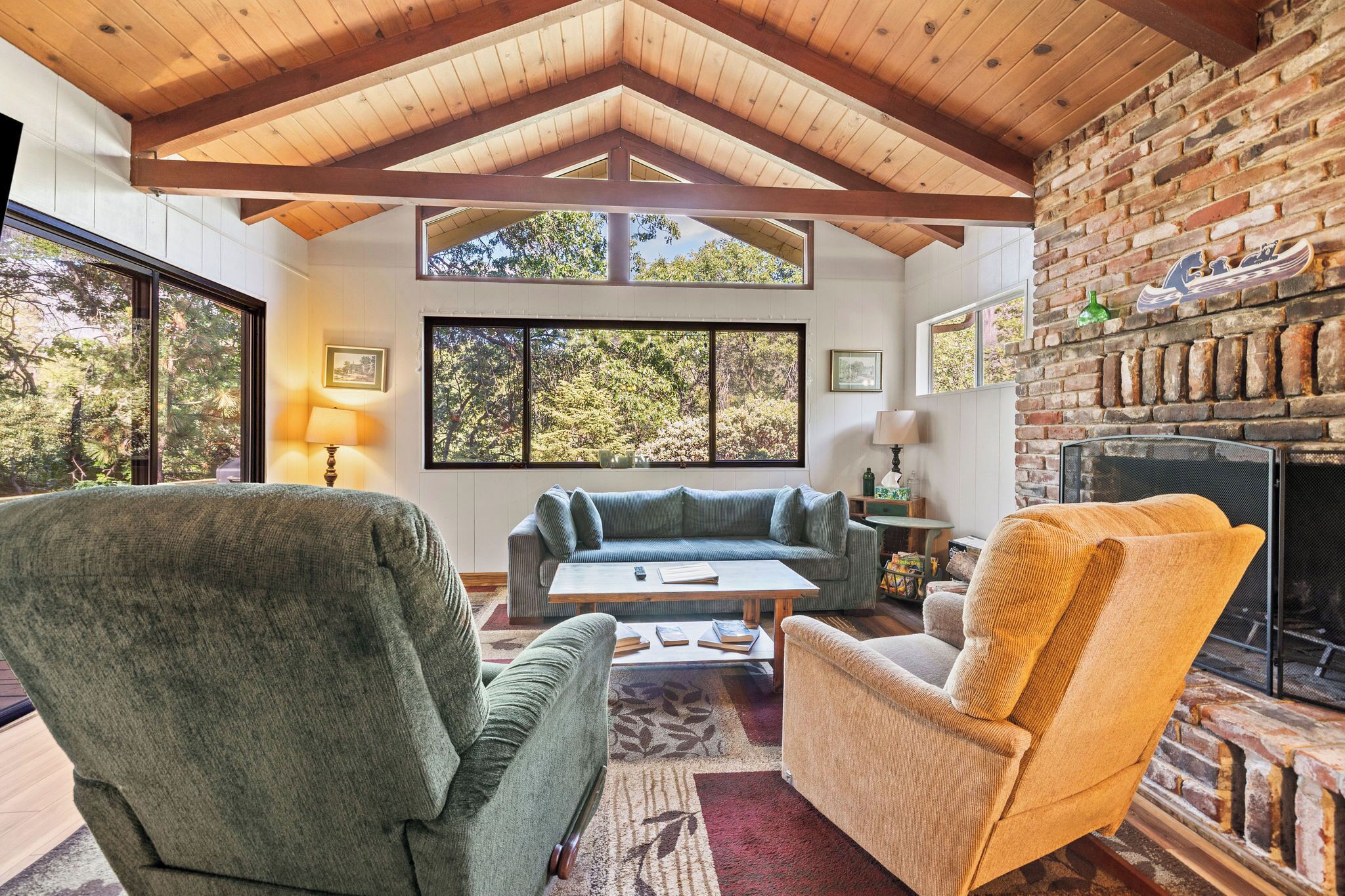TV, fireplace, books