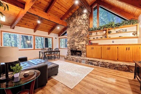 TV, fireplace, books