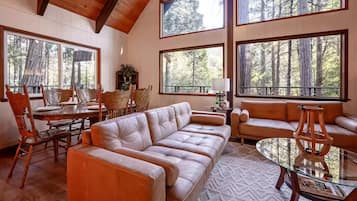 TV, fireplace, books