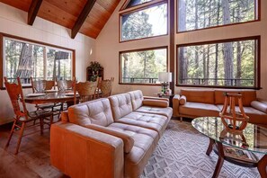 TV, fireplace, books
