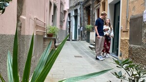 Une ruelle étroite, bordée de bâtiments des deux côtés, avec des plantes en pot et une rambarde métallique au premier plan.