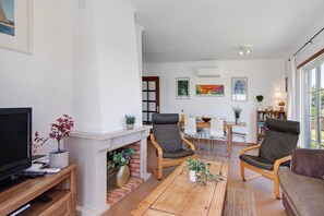 TV, fireplace, DVD player