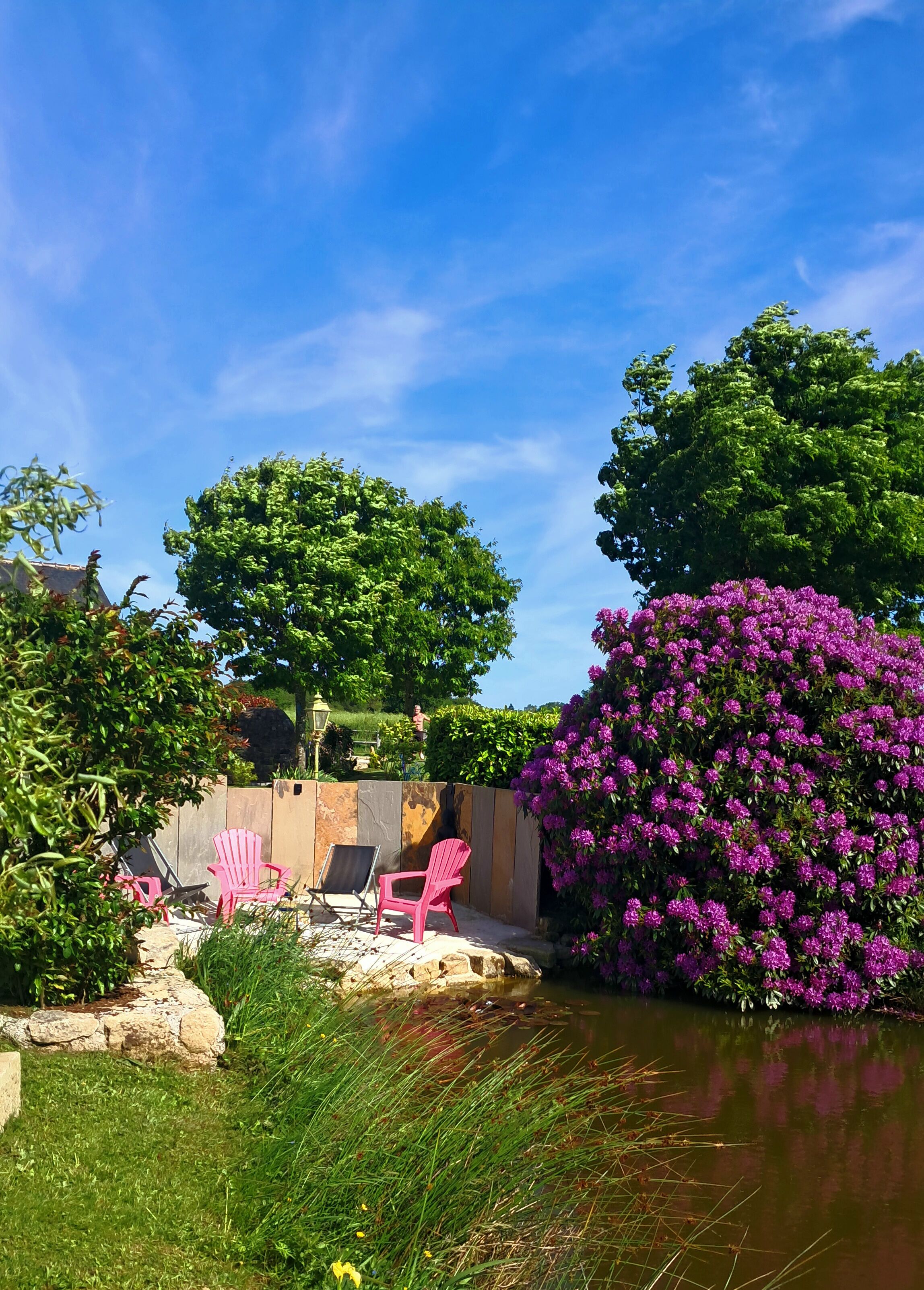 Parco della struttura