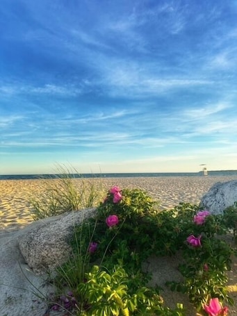 A beach with sand, flowers, and a clear sky.. Beach Pass Included!