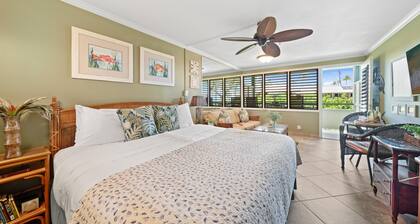 Napili Bay 210 in Lahaina