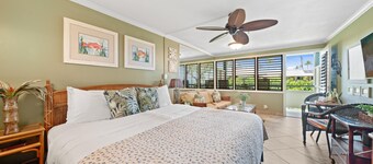 Napili Bay 210 in Lahaina