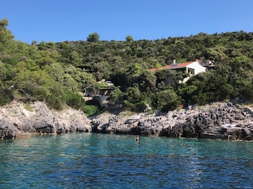 Διάφορα