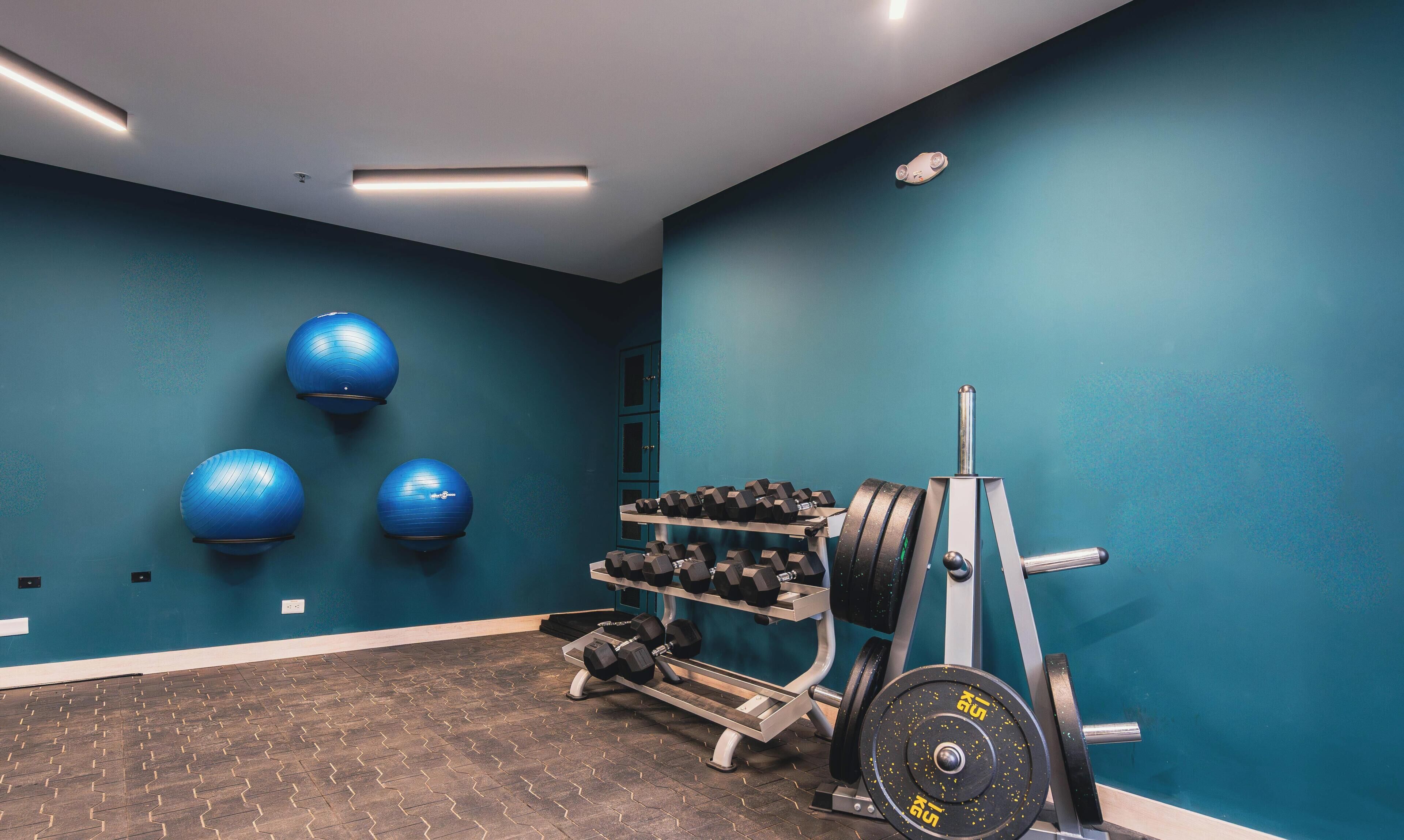 A gym with exercise equipment, including dumbbells and a barbell, against teal walls.
