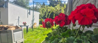1 bedroom beautiful home in Boruja