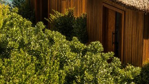 Une construction en bois, dotée de toits de chaume, entourée de verdure et surplombant une étendue d’eau.
