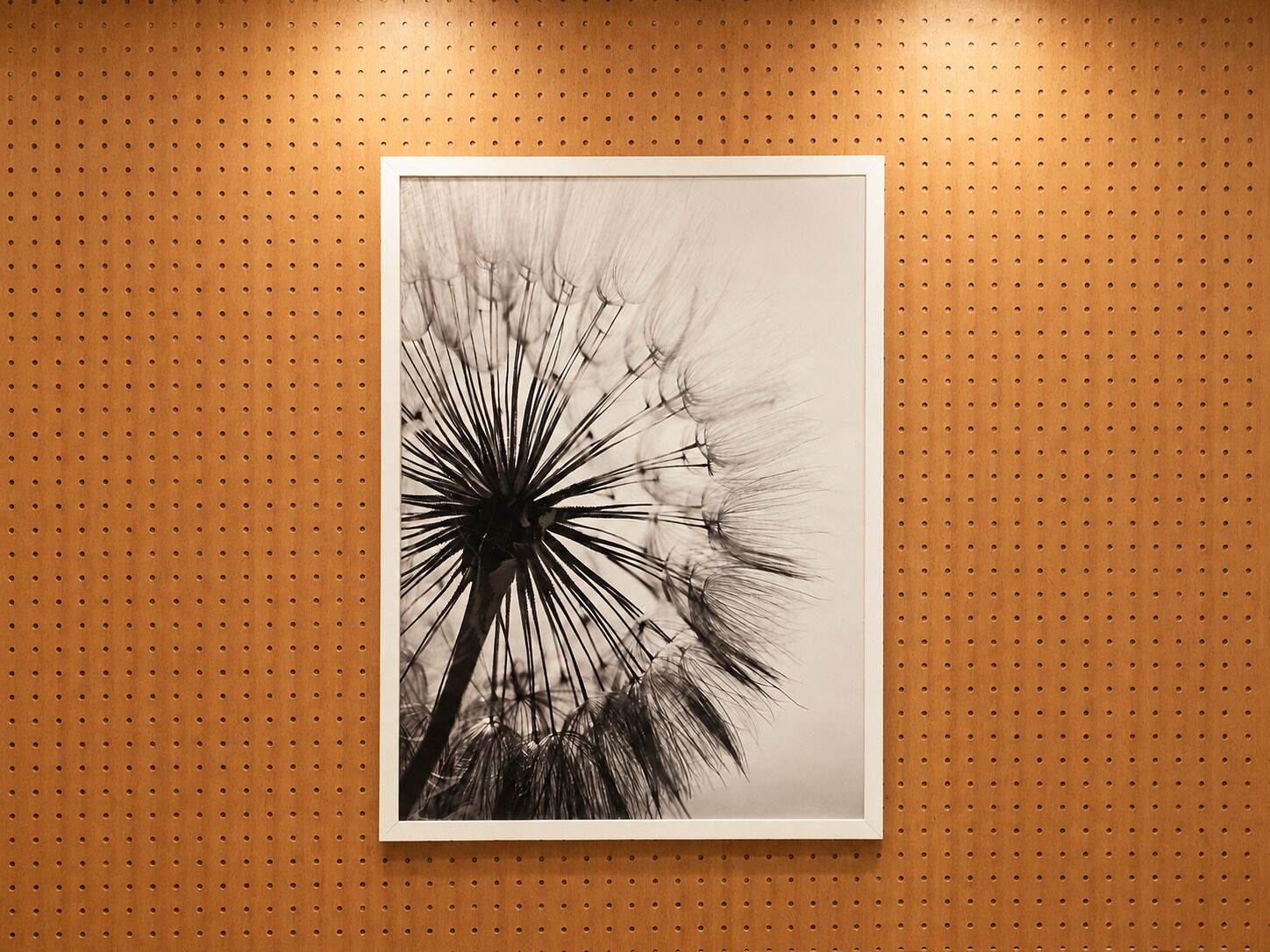 A framed black and white photograph of a dandelion on a wooden wall with a perforated pattern.