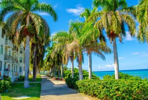 Terrain de l’hébergement 