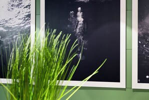 Una pared con fotografías enmarcadas, una de ellas mostrando un chapuzón de agua.