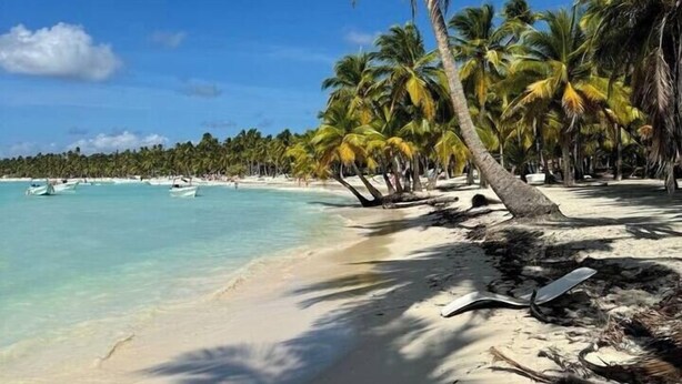 Ein Strand mit weißem Sand, Palmen und klarem, blauem Wasser.