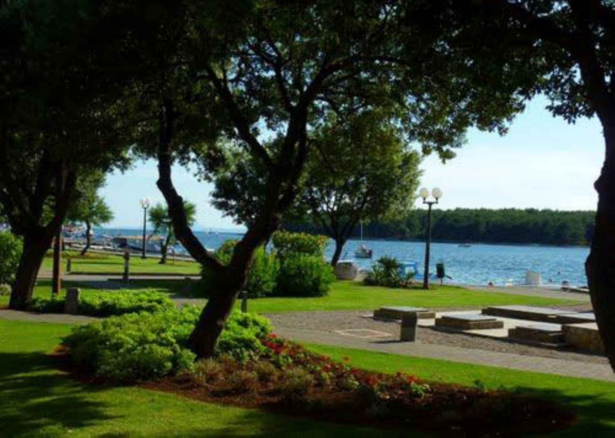 المنطقة المحيطة بالمنشأة