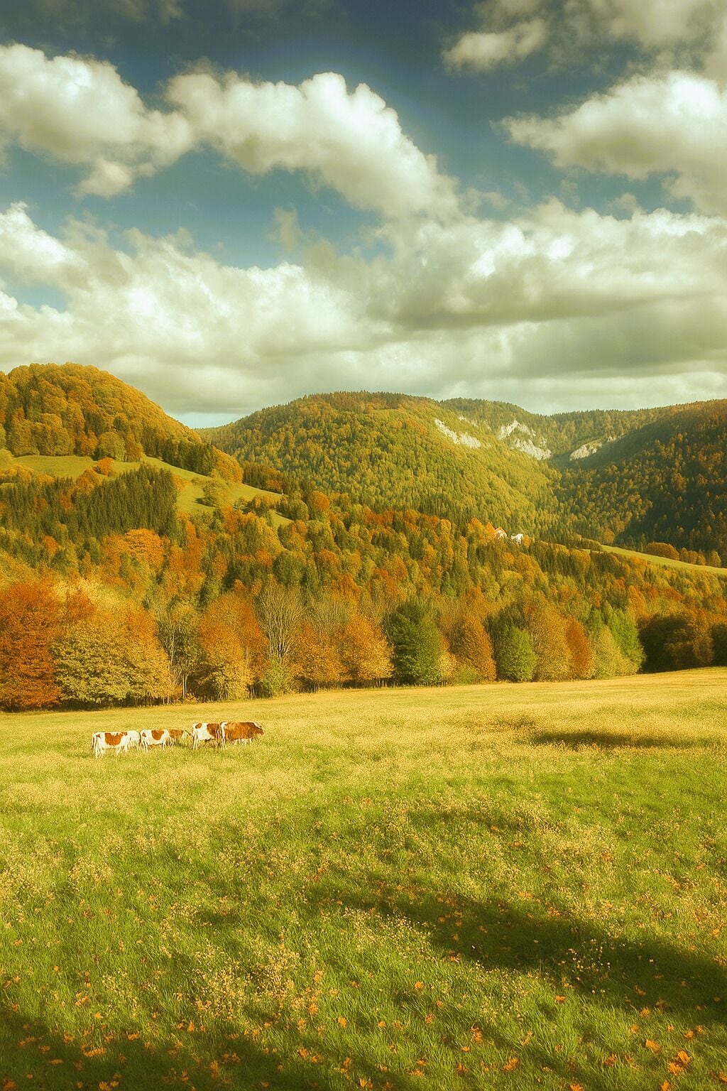 Paysage automne 4