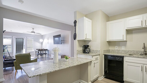 A modern kitchen with granite countertops, white cabinetry, and a built-in dishwasher. - Chic 2-bedroom apartment with WiFi, AC in marvelous Austin (Austin)