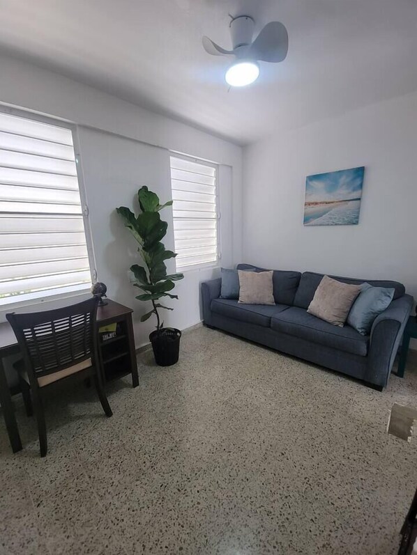 A living room with a grey sofa, a small table, a potted plant, and a ceiling fan.