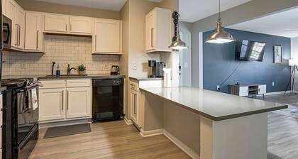 Charming 2-bedroom apartment with WiFi, AC in pleasant Austin