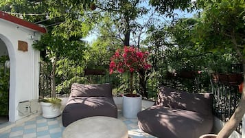 Habitación estándar | Terraza o patio