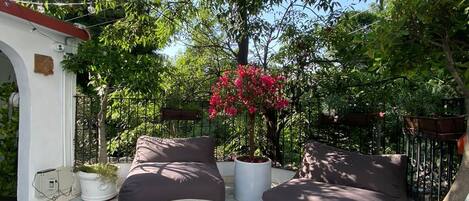 Chambre Standard | Terrasse/Patio