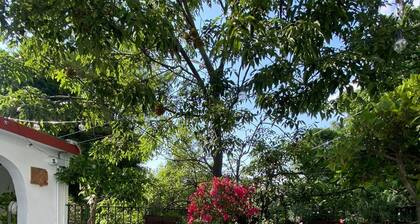 Nokal Exclusive Stay