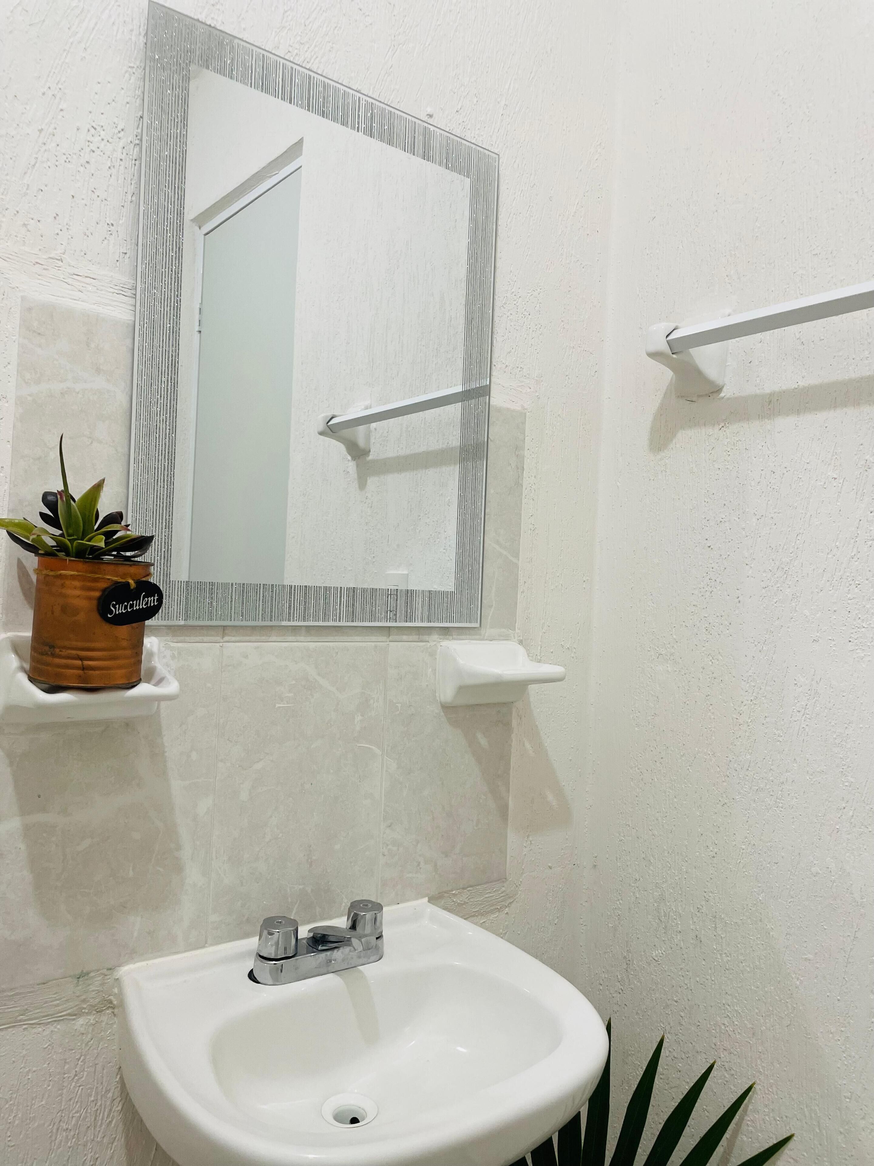 A bathroom with a white sink, a mirror with a striped frame, a potted succulent, and a towel rack.
