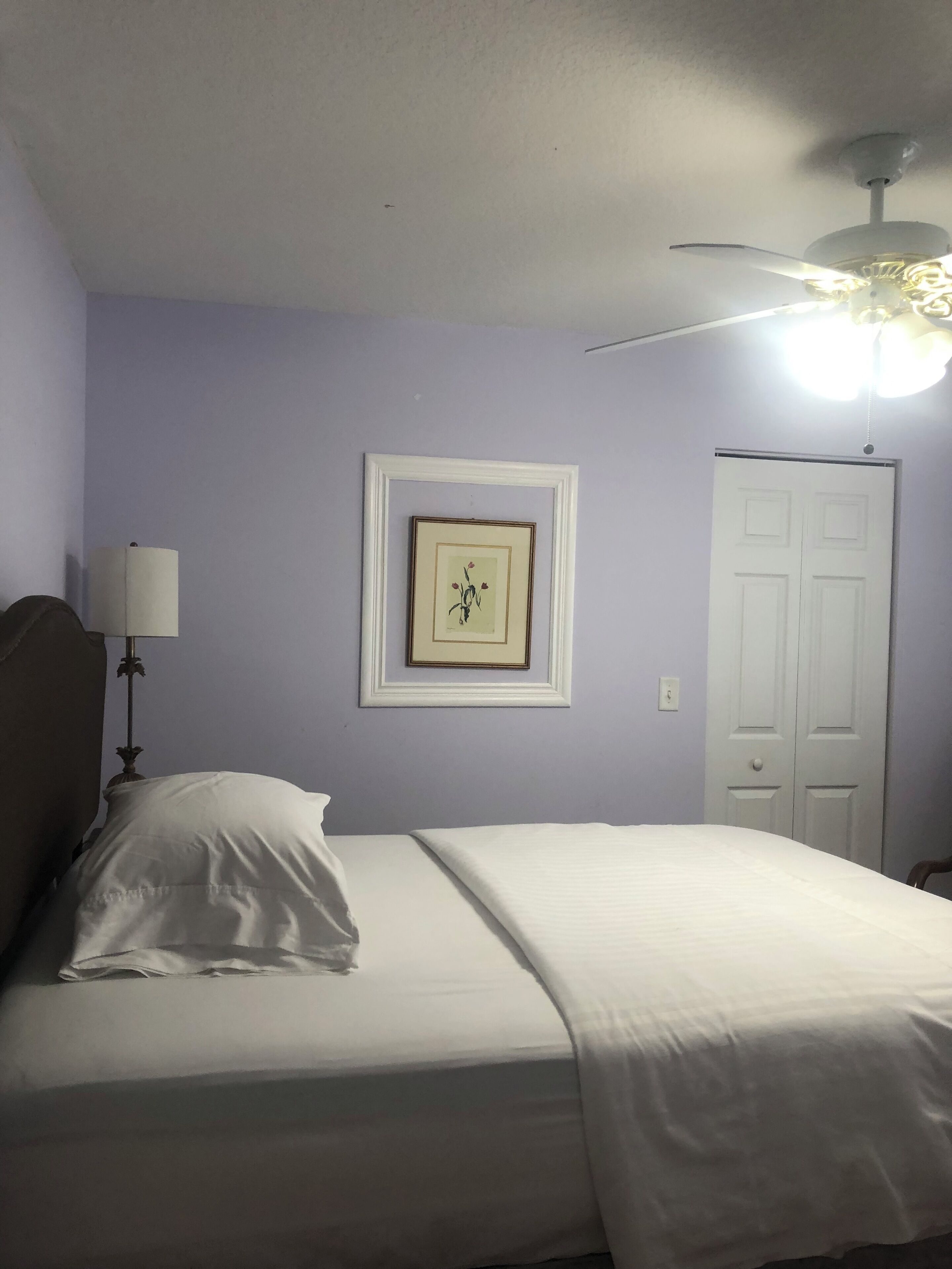 A bedroom with a bed, a ceiling fan, a framed picture, and a door.