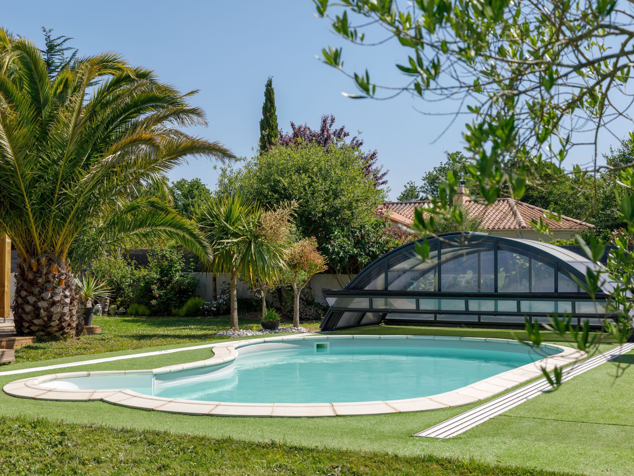 Une piscine entourée d’une végétation luxuriante, notamment de palmiers et de divers arbustes.