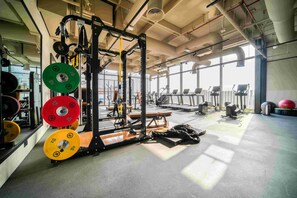 A gym with weightlifting equipment, treadmills, and exercise balls.