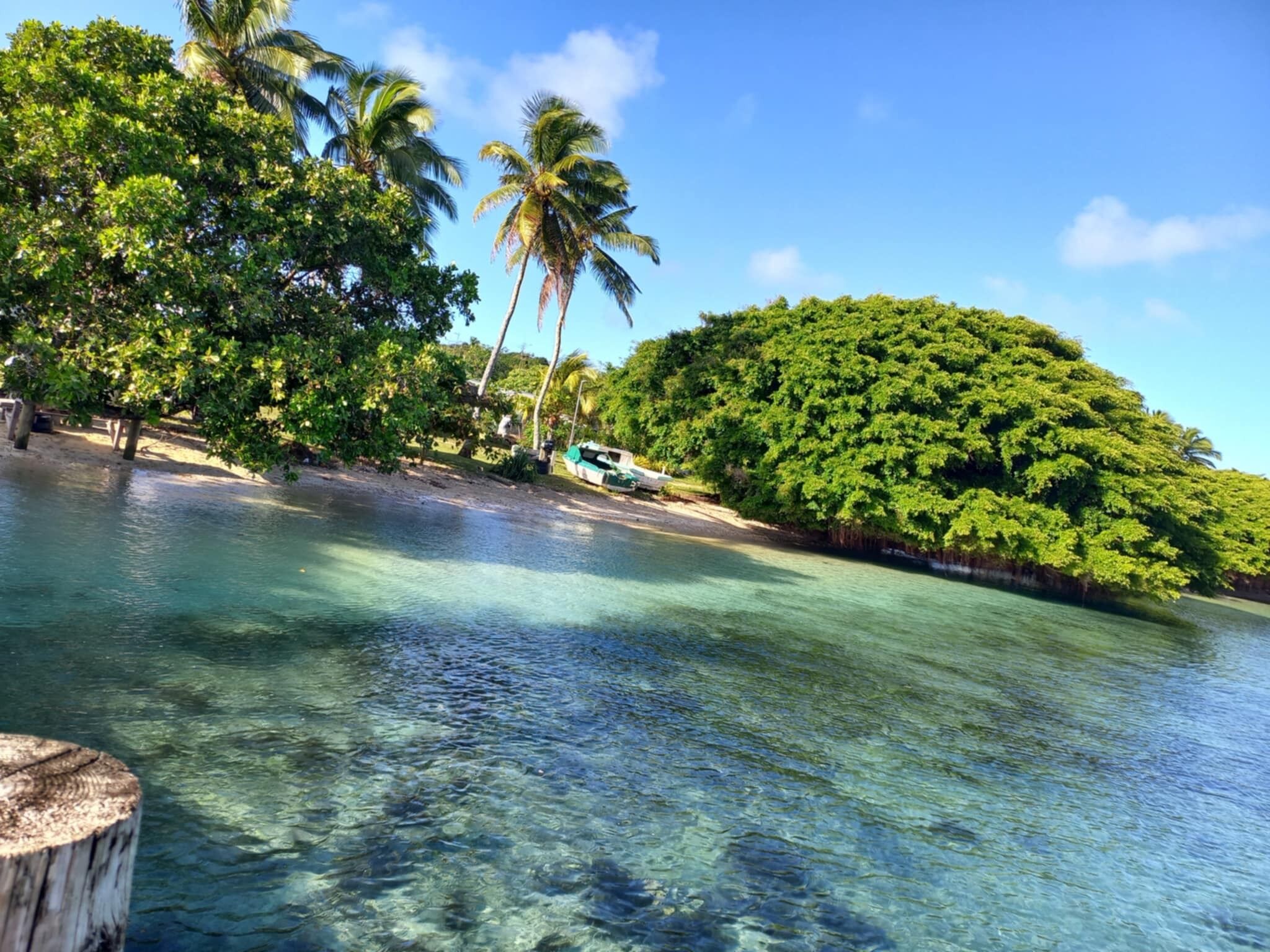 A tropical beach with clear water, palm trees, and a boat.