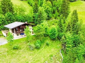 Escape to a serene forest retreat with a cozy cabin nestled among the trees.
