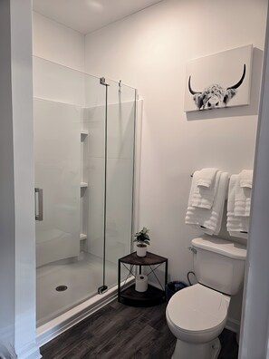 Douche, sèche-cheveux, serviettes fournies, papier toilette