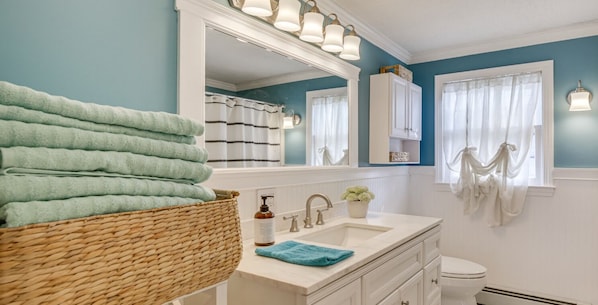 Hair dryer, towels, soap, toilet paper
